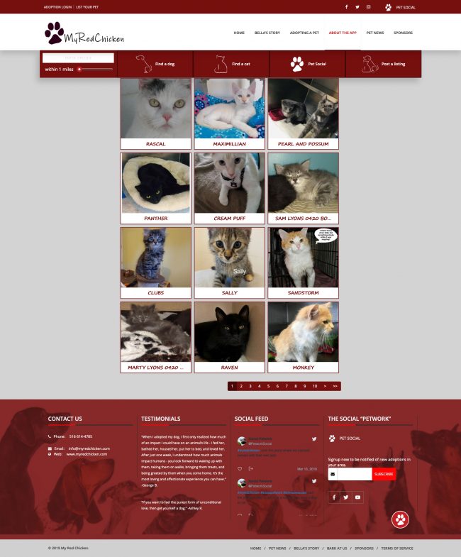 Pet's Adoptions Listing in Wordpress